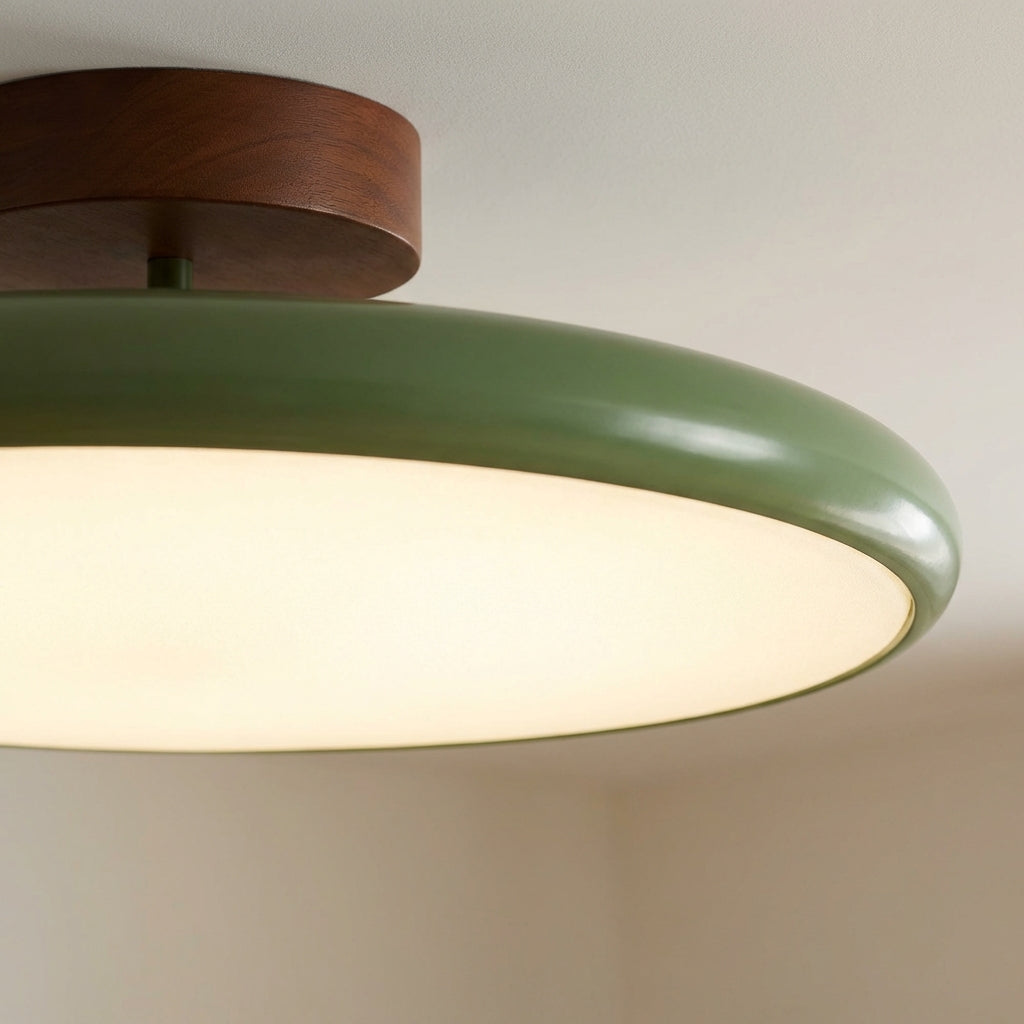 NovaLux Ceiling Mount With Adjustable Directional Lighting For A Subtle Silhouette In Any Room