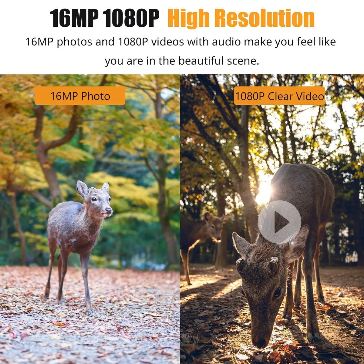 Wildlife Watcher 1080P Wildkamera – 16-MP-Fotoauflösung, schnelle Auslösung, robustes Gehäuse –