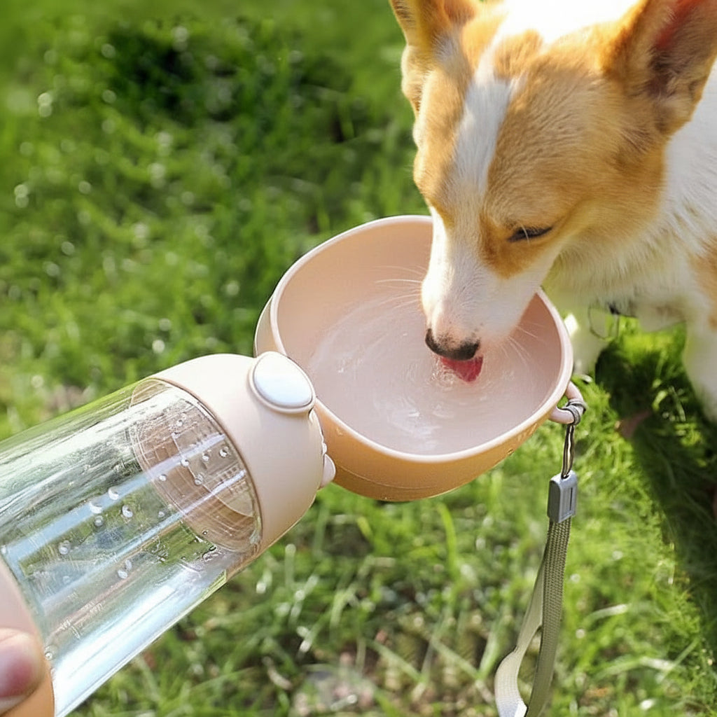 Botella de agua antiderrames para mascotas PETSPRING con cuenco incorporado