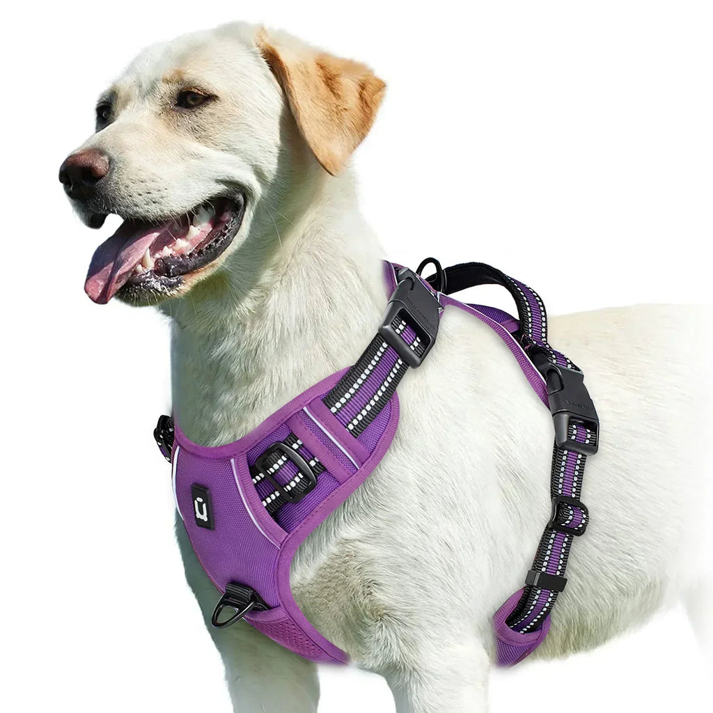 Adjustable Dog Harness for Comfortable Walks | Ka-mostore