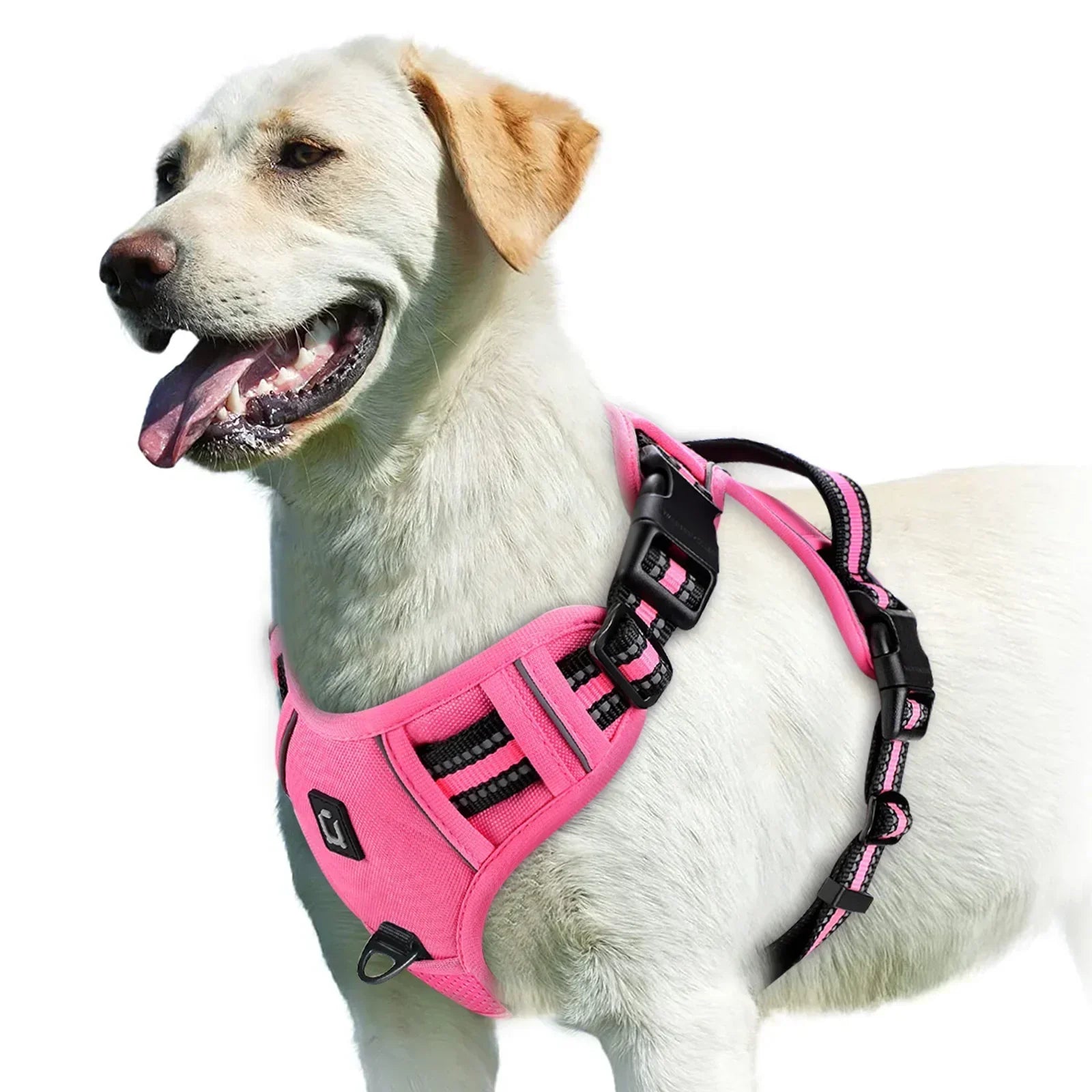 Adjustable Dog Harness for Comfortable Walks | Ka-mostore