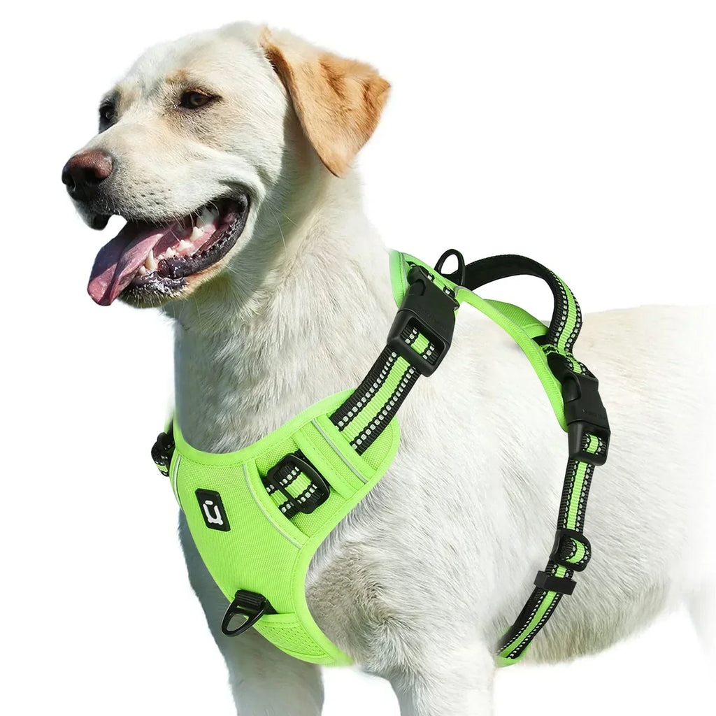 Adjustable Dog Harness for Comfortable Walks | Ka-mostore