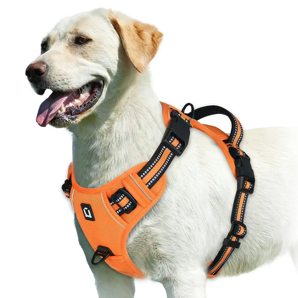 Adjustable Dog Harness for Comfortable Walks | Ka-mostore