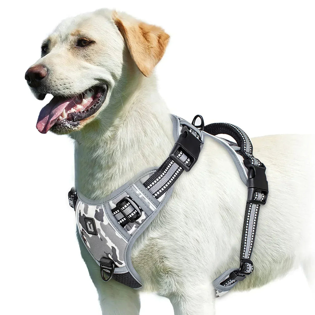 Adjustable Dog Harness for Comfortable Walks | Ka-mostore