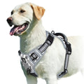 Adjustable Dog Harness for Comfortable Walks | Ka-mostore