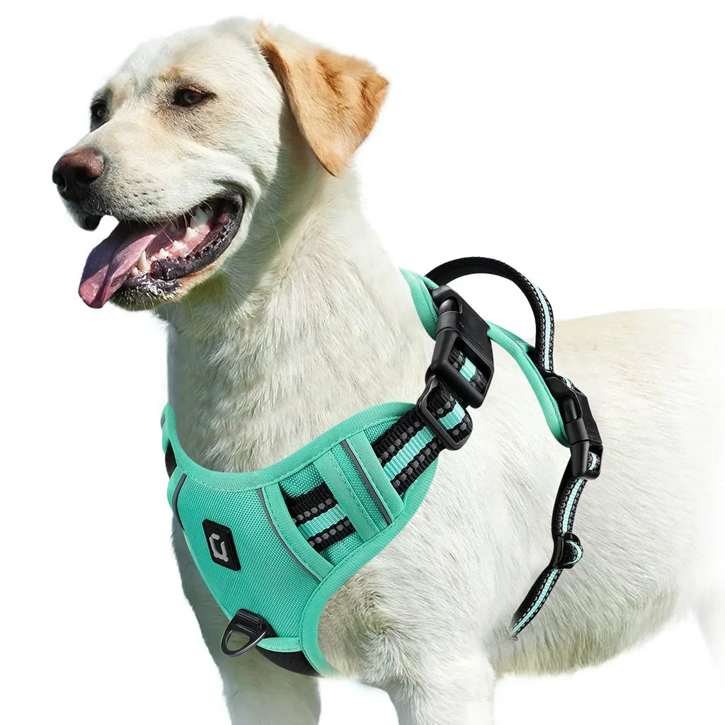 Adjustable Dog Harness for Comfortable Walks | Ka-mostore