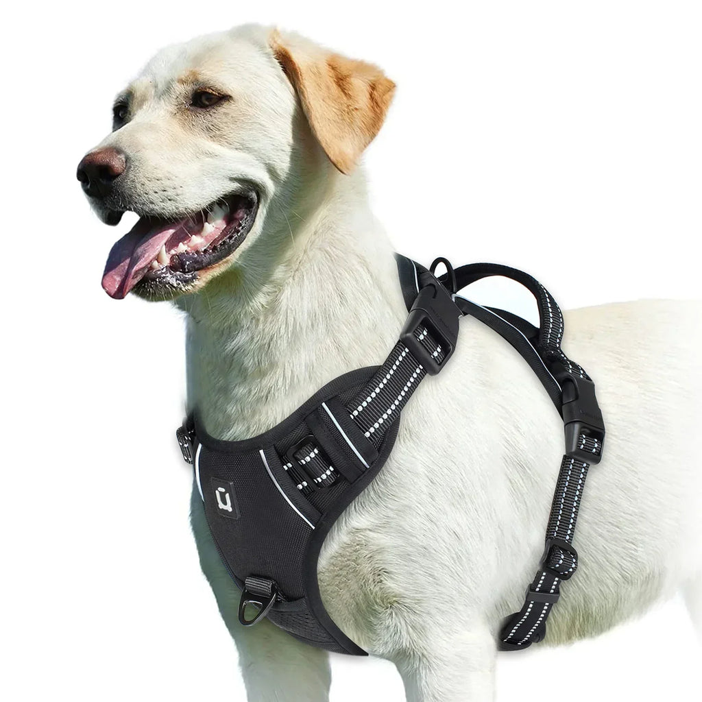 Adjustable Dog Harness for Comfortable Walks | Ka-mostore