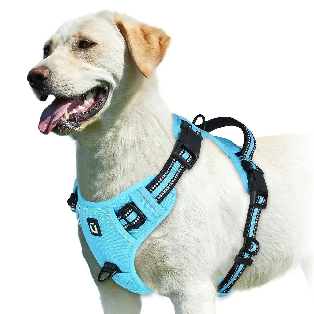 Adjustable Dog Harness for Comfortable Walks | Ka-mostore