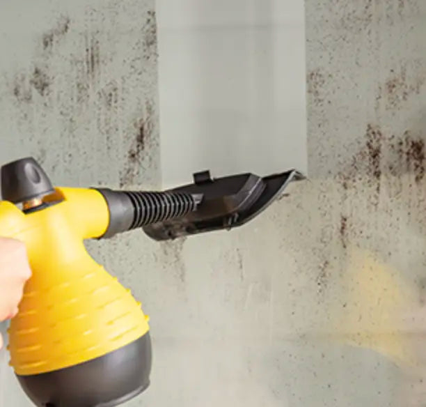 All-in-One Steam Cleaner | Ka-mostore
