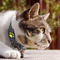 Always Have Your Cat on Radar | Ka-mostore