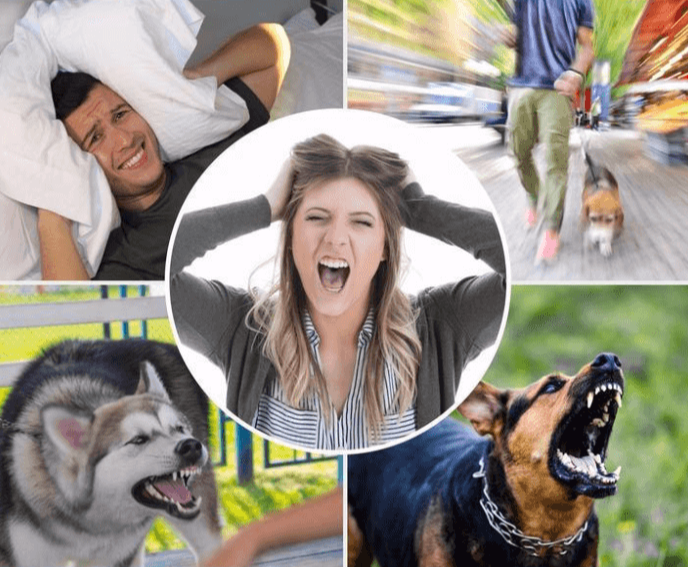 Anti-Barking Dog Trainer | Ka-mostore