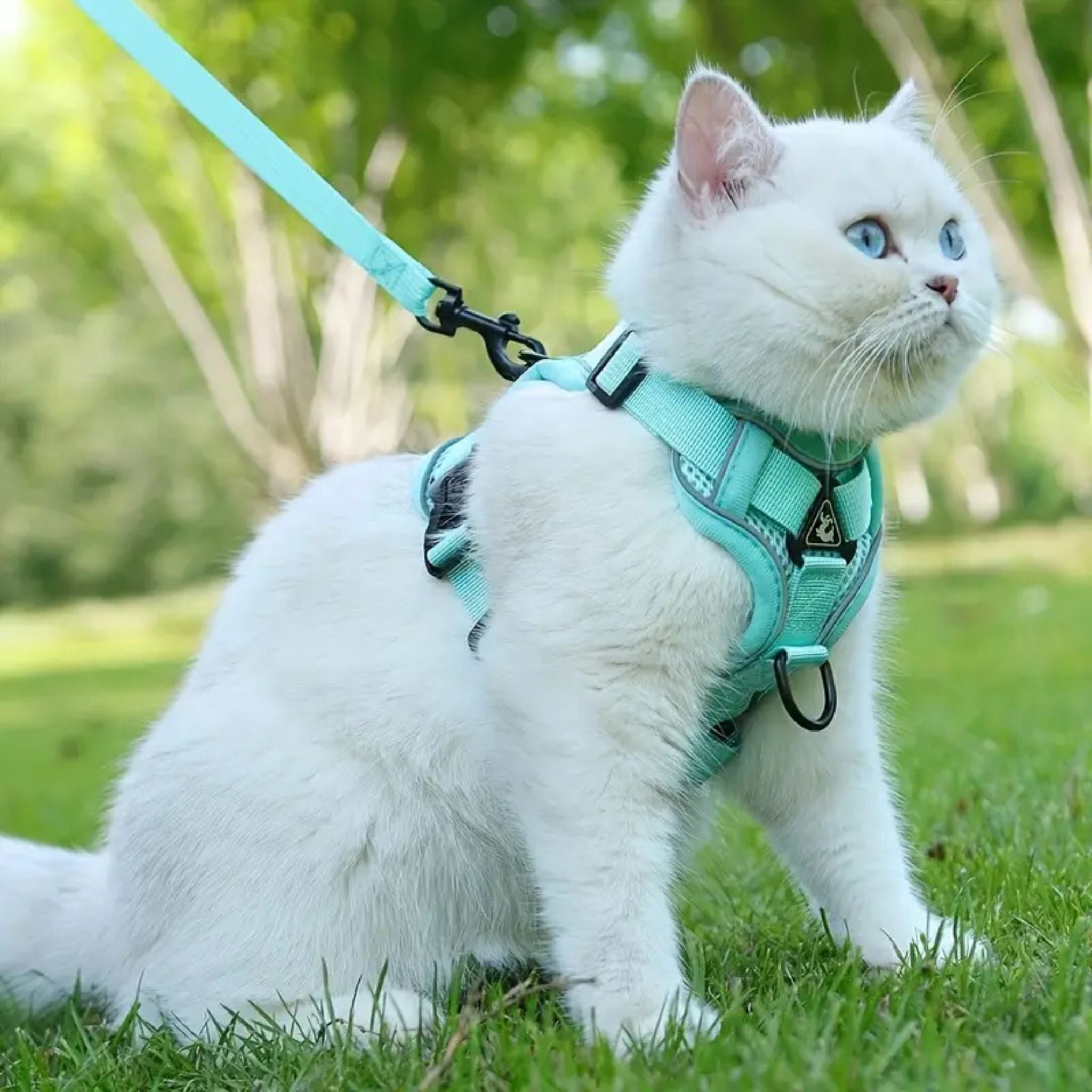 secure escape-proof cat vest | CATWALKS | Ka-mostore