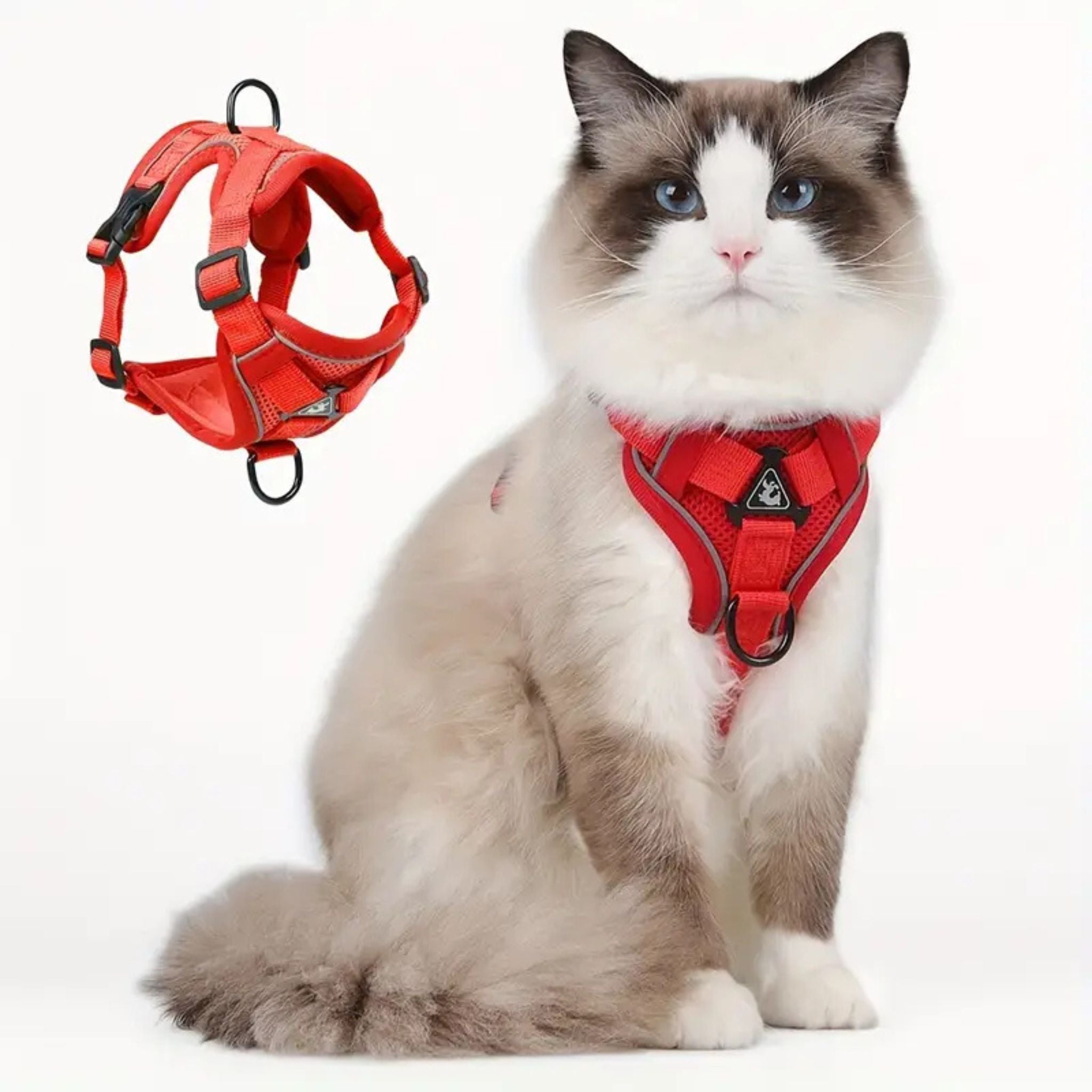 secure escape-proof cat vest | CATWALKS | Ka-mostore