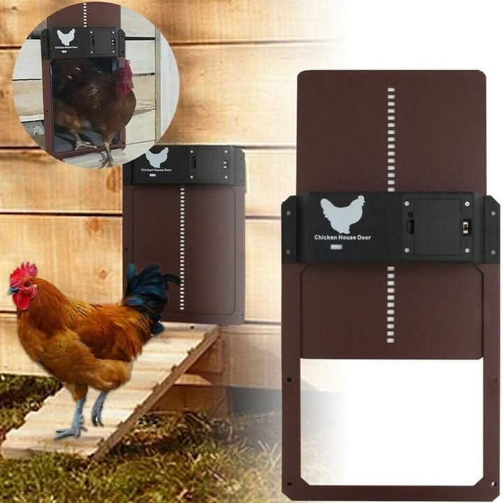 AUTOCOOP – Automatic Chicken Coop Door with Light Sensor & Weather Protection | Ka-mostore