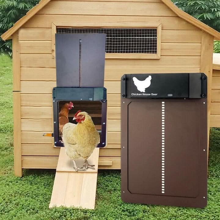 AUTOCOOP – Automatic Chicken Coop Door with Light Sensor & Weather Protection | Ka-mostore