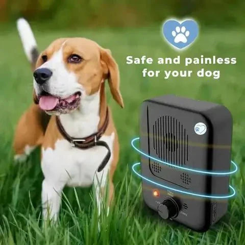 BarkGuard – Nejlepší zařízení proti štěkání | Ka-mostore