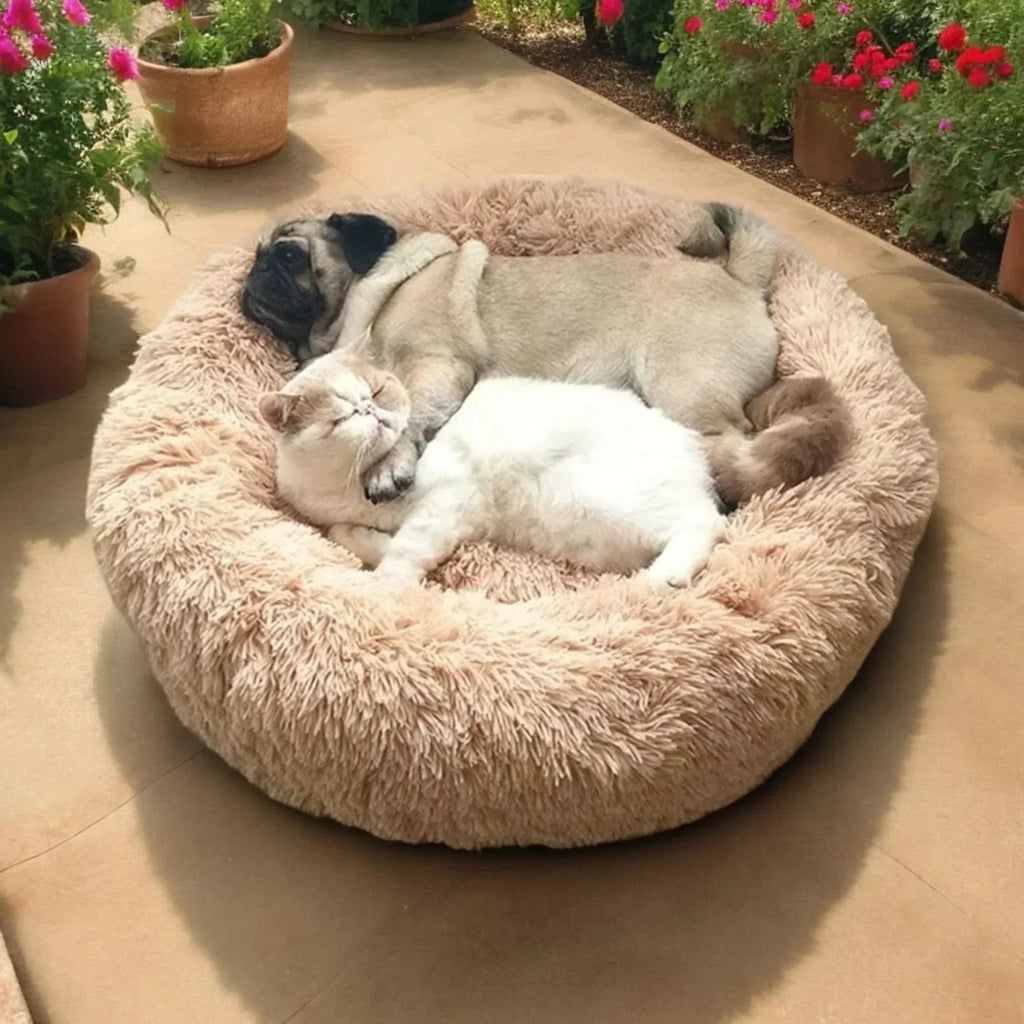 PERRO TRANQUILO – Cama para perros súper suave para un sueño relajado | Ka-mostore
