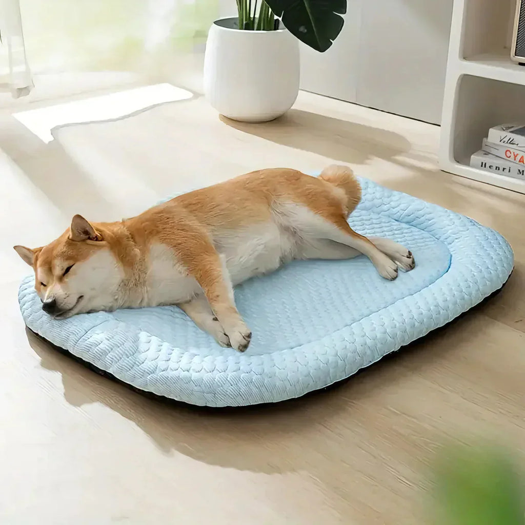 ChillPaws • Cooling Dog Bed | Ka-mostore