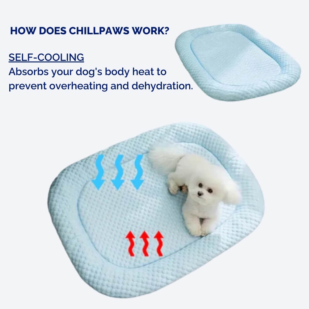 ChillPaws • Cooling Dog Bed | Ka-mostore