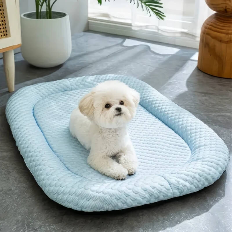 ChillPaws • Cooling Dog Bed | Ka-mostore