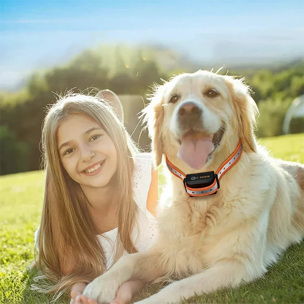 Training Collar For Dogs Remote, 1000m Range, IP67 Waterproof, Vibration, Sound, Shock