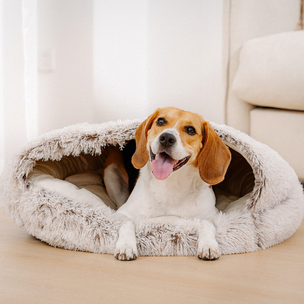 Semi-Enclosed Pet Burrow Bed - Soft Cotton Fabric | Ka-mostore