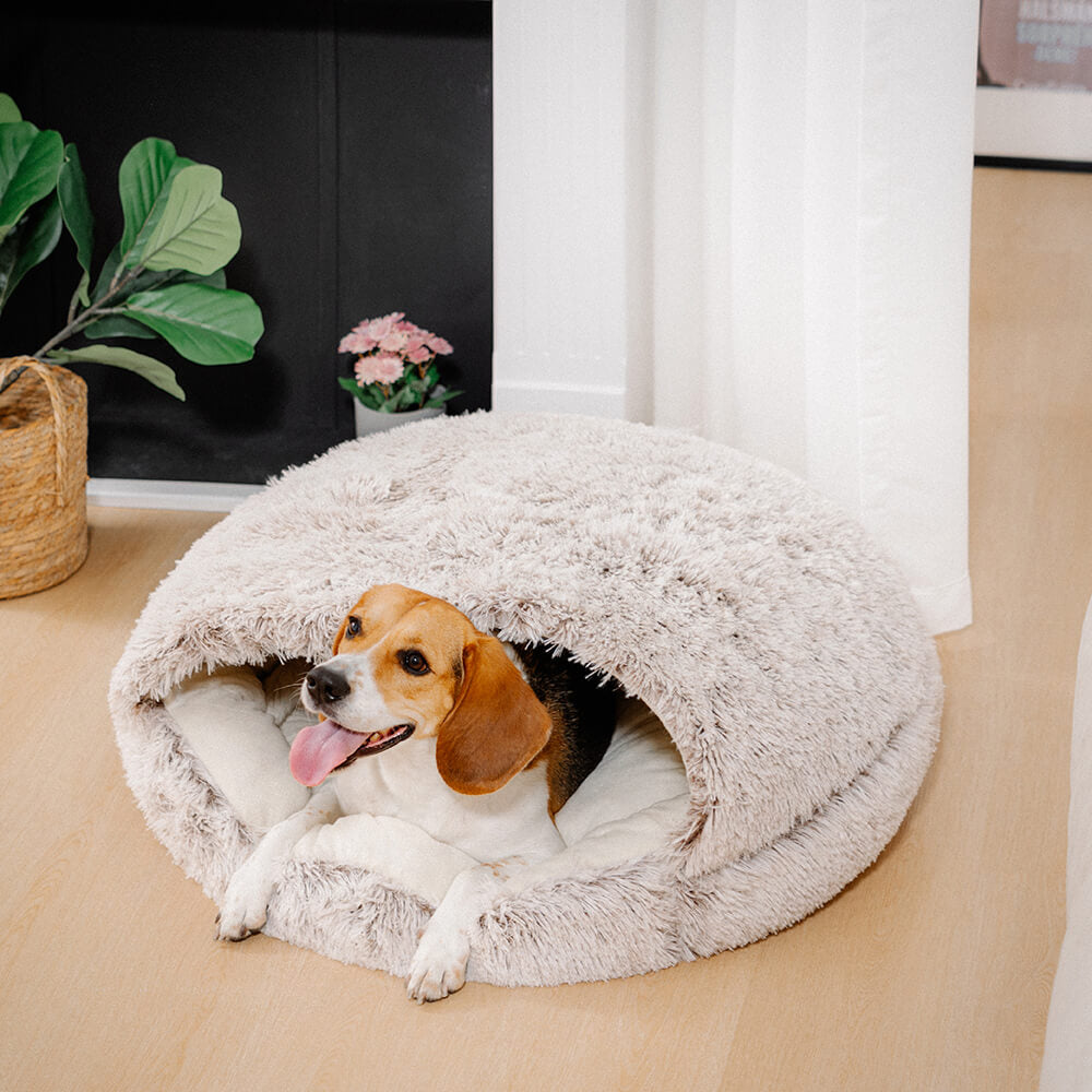Semi-Enclosed Pet Burrow Bed - Soft Cotton Fabric | Ka-mostore