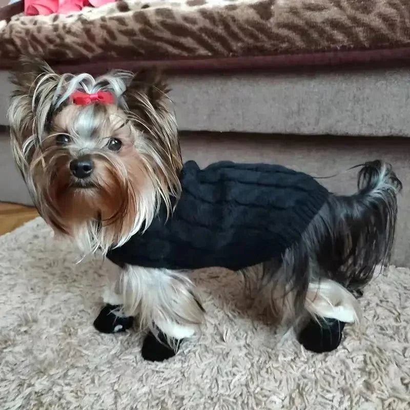 CozyPaws • Voděodolné boty pro psy | Ka-mostore