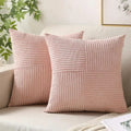CozyPlüsch Decorative Cushions — Set of 2 Soft Accent Pillows