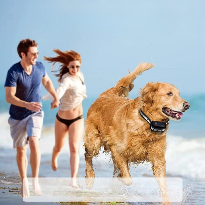 Canine Training Collar With 1000m Range, 3 Modes, Rechargeable IP67 Waterproof For Dogs