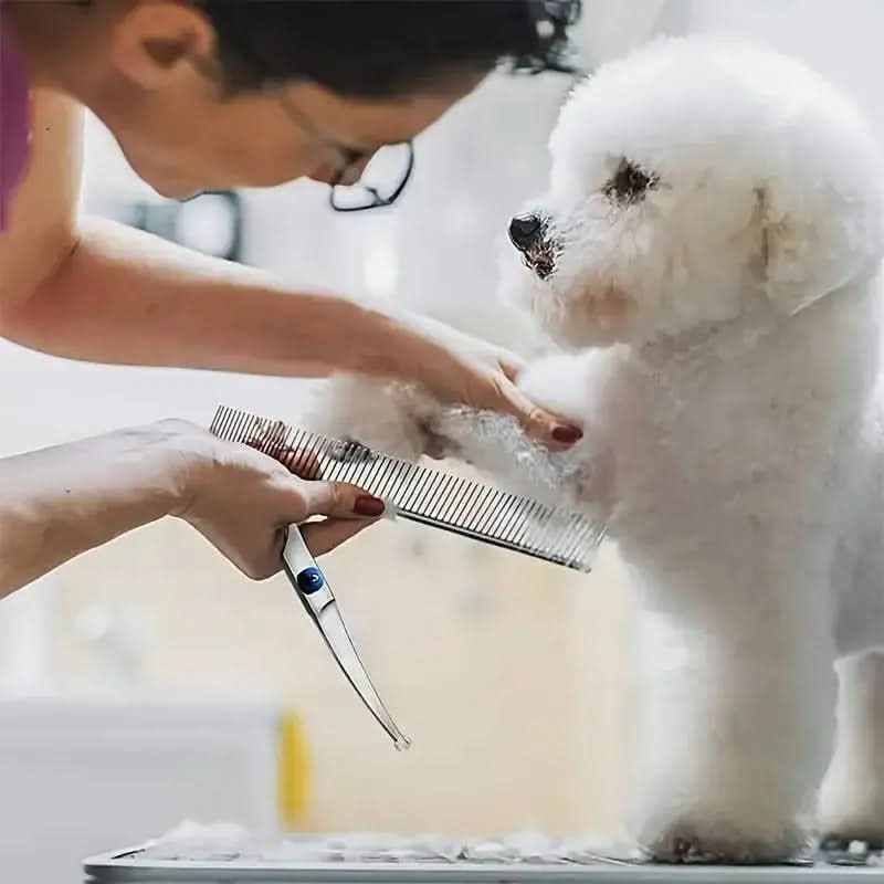 Set di forbici per la toelettatura degli animali GROOMIX — punte arrotondate di sicurezza, taglio preciso ed ergonomico