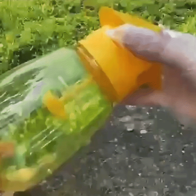 Balení 10 závěsných pastí na mouchy s atraktantem na octomilky, vosy a sršně