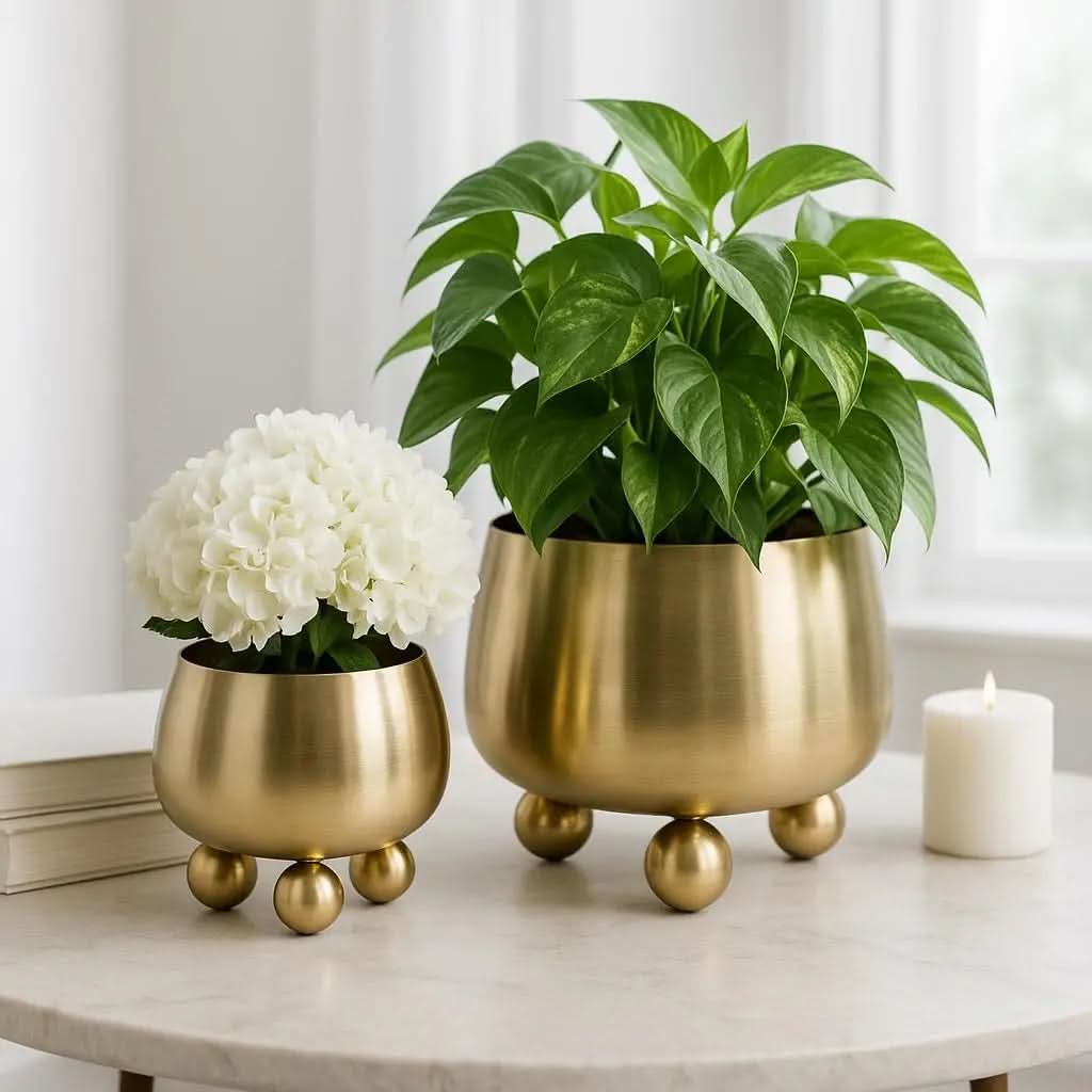Ensemble de pots en céramique modernes NOIRBLOOM — Design minimaliste arrondi