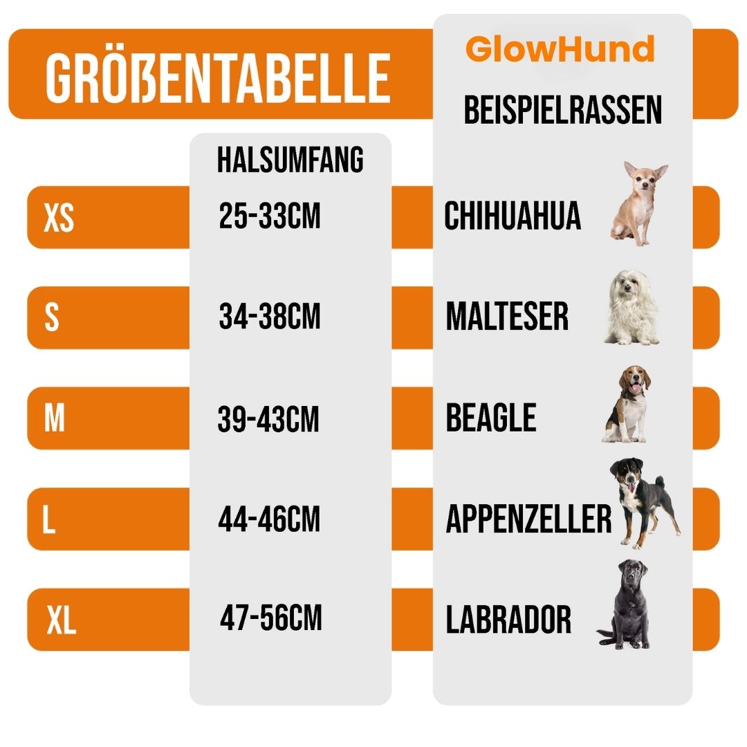 LED obojek pro psy GlowHund — dobíjecí, lehký a svítící