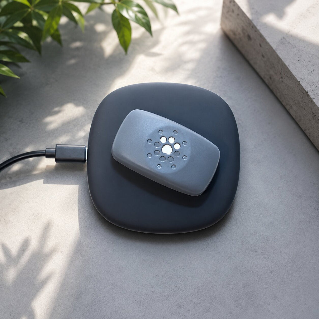 PfotenChronik GPS-halsband för hundar — platsövervakning via app, vattentät design