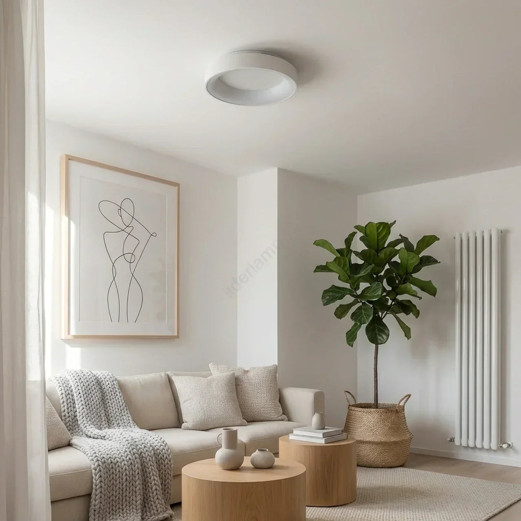 Circular Flush Mount Ceiling Light With Hollow Center And Integrated LED Diffuser