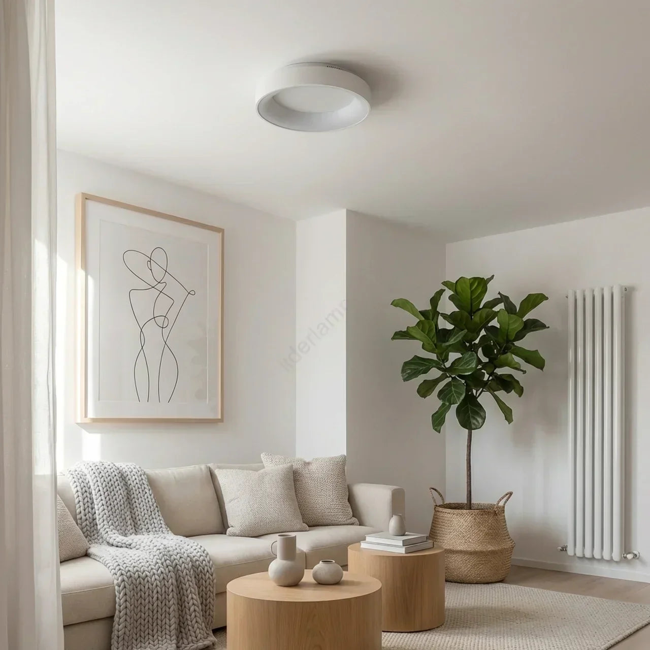 Circular Flush Mount Ceiling Light With Hollow Center And Integrated LED Diffuser
