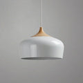 Geometric Sculptural Pendant Light With Metal Shade And Wood Accent For Modern Interiors