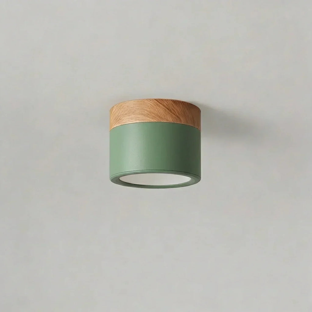 Ceiling Light Fixture Featuring LED In Flush Mount Solid Wood Colour Accent For Modern Homes