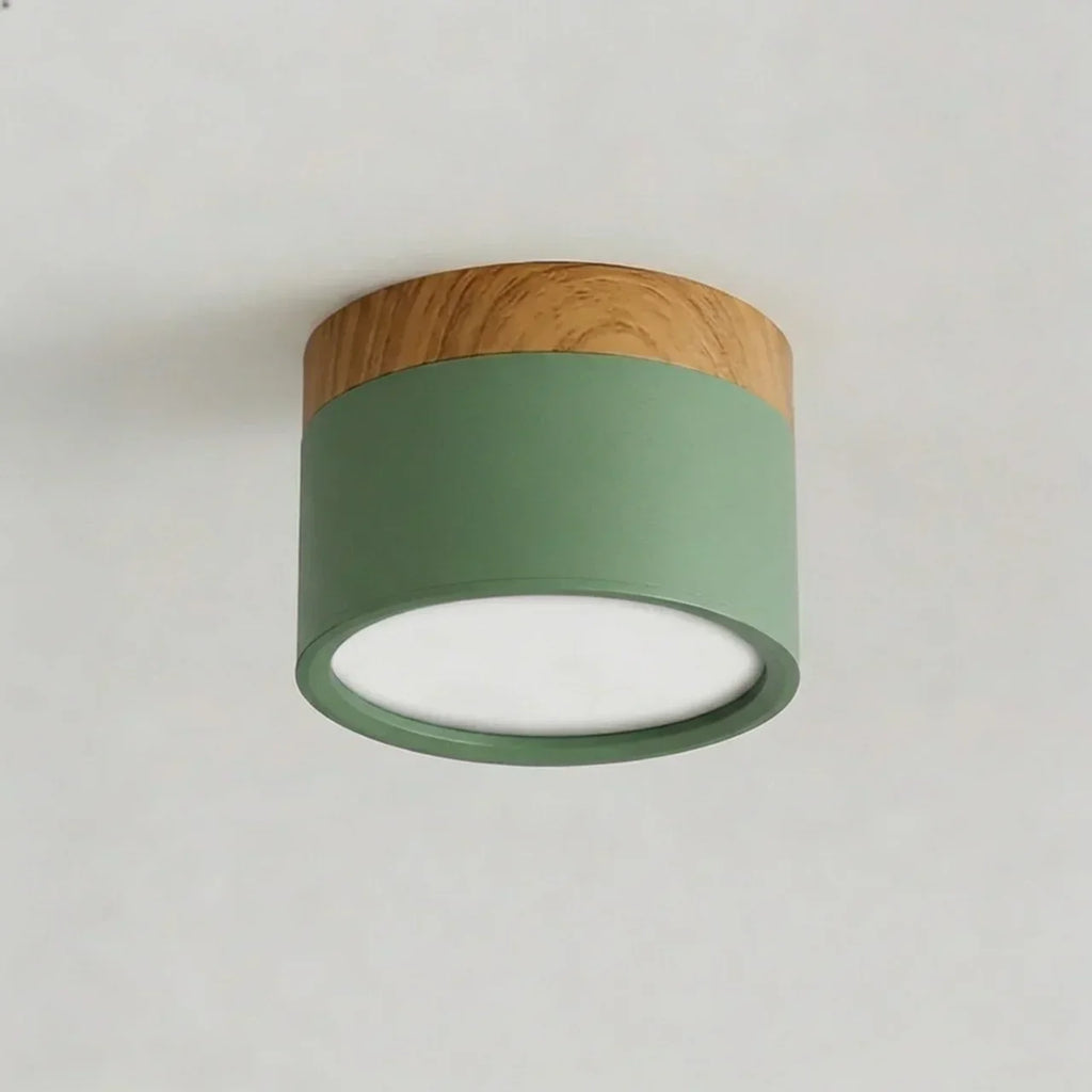 Ceiling Light Fixture Featuring LED In Flush Mount Solid Wood Colour Accent For Modern Homes
