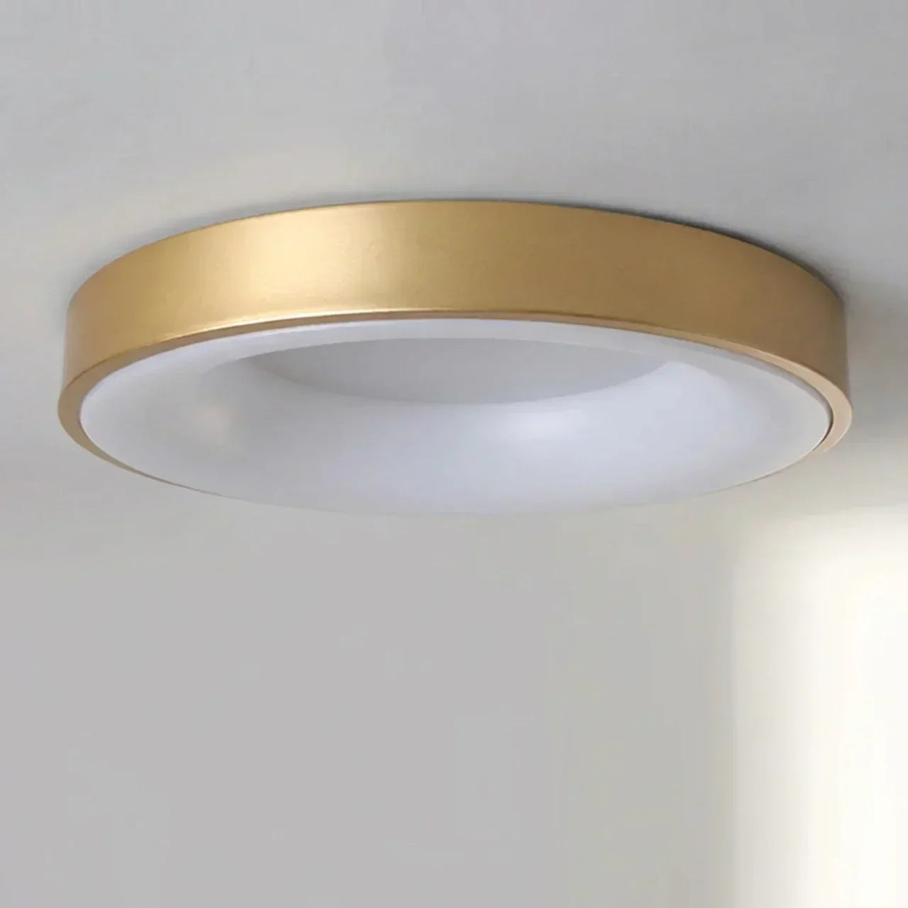Circular Flush Mount Ceiling Light With Hollow Center And Integrated LED Diffuser