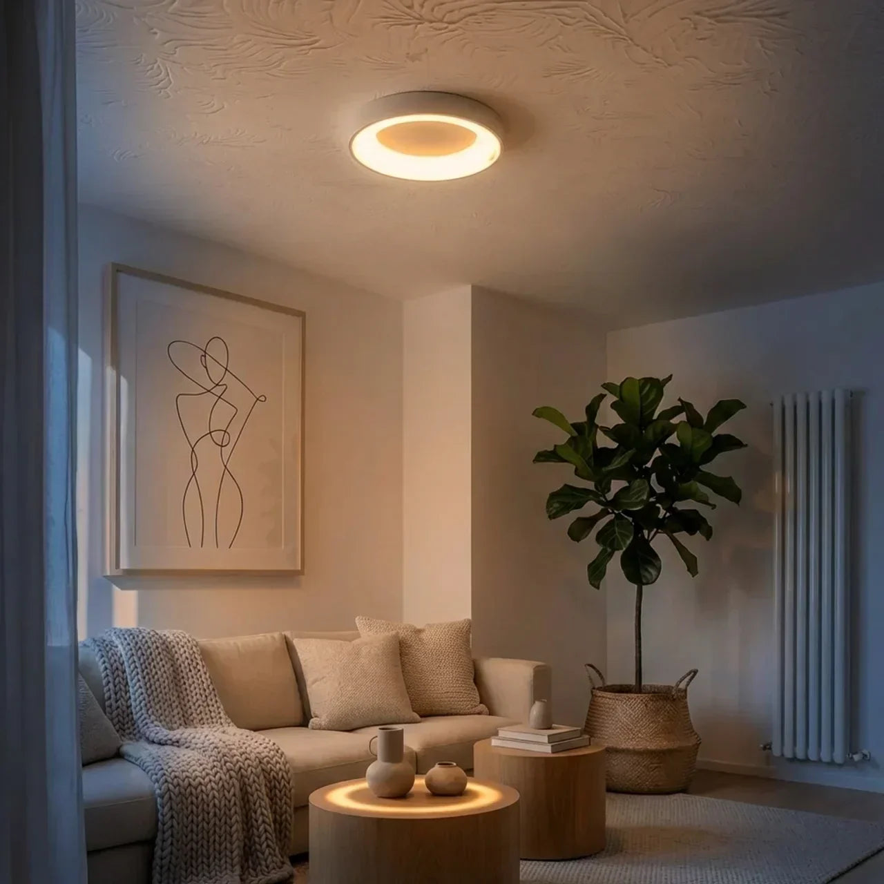 Circular Flush Mount Ceiling Light With Hollow Center And Integrated LED Diffuser