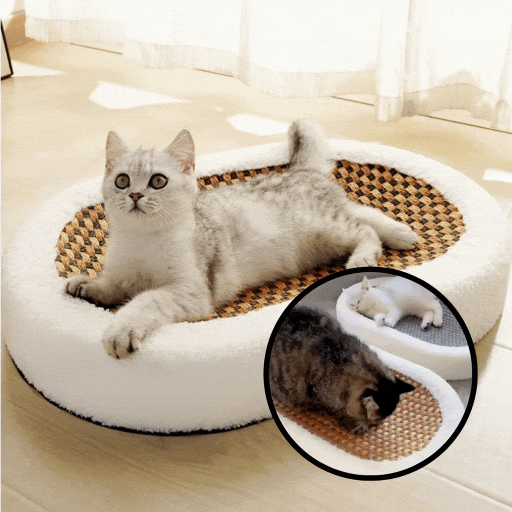 KratziCouch Katzenbett — Gemütliches Kratzmöbel mit Kratzbrett