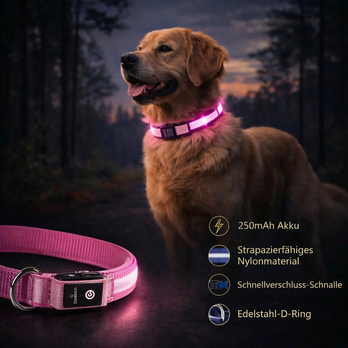LED obojek pro psy GlowHund — dobíjecí, lehký a svítící