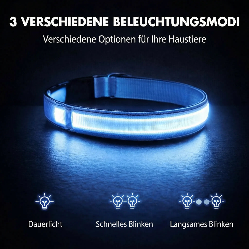 LED obojek pro psy GlowHund — dobíjecí, lehký a svítící