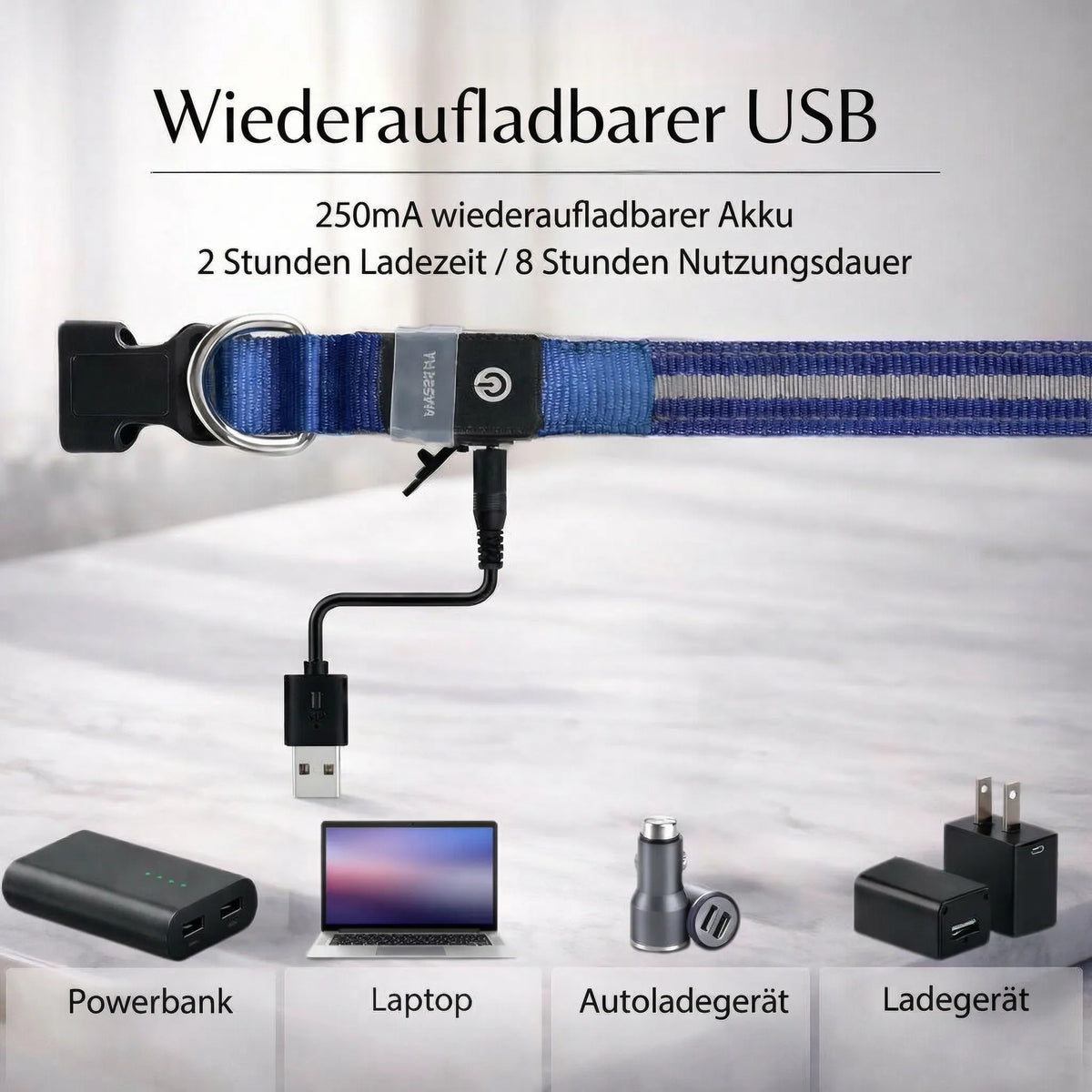 LED obojek pro psy GlowHund — dobíjecí, lehký a svítící