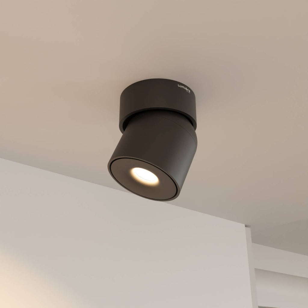 Ceiling Lamp With Flexible Head Rotation And 2700K Warm Glow