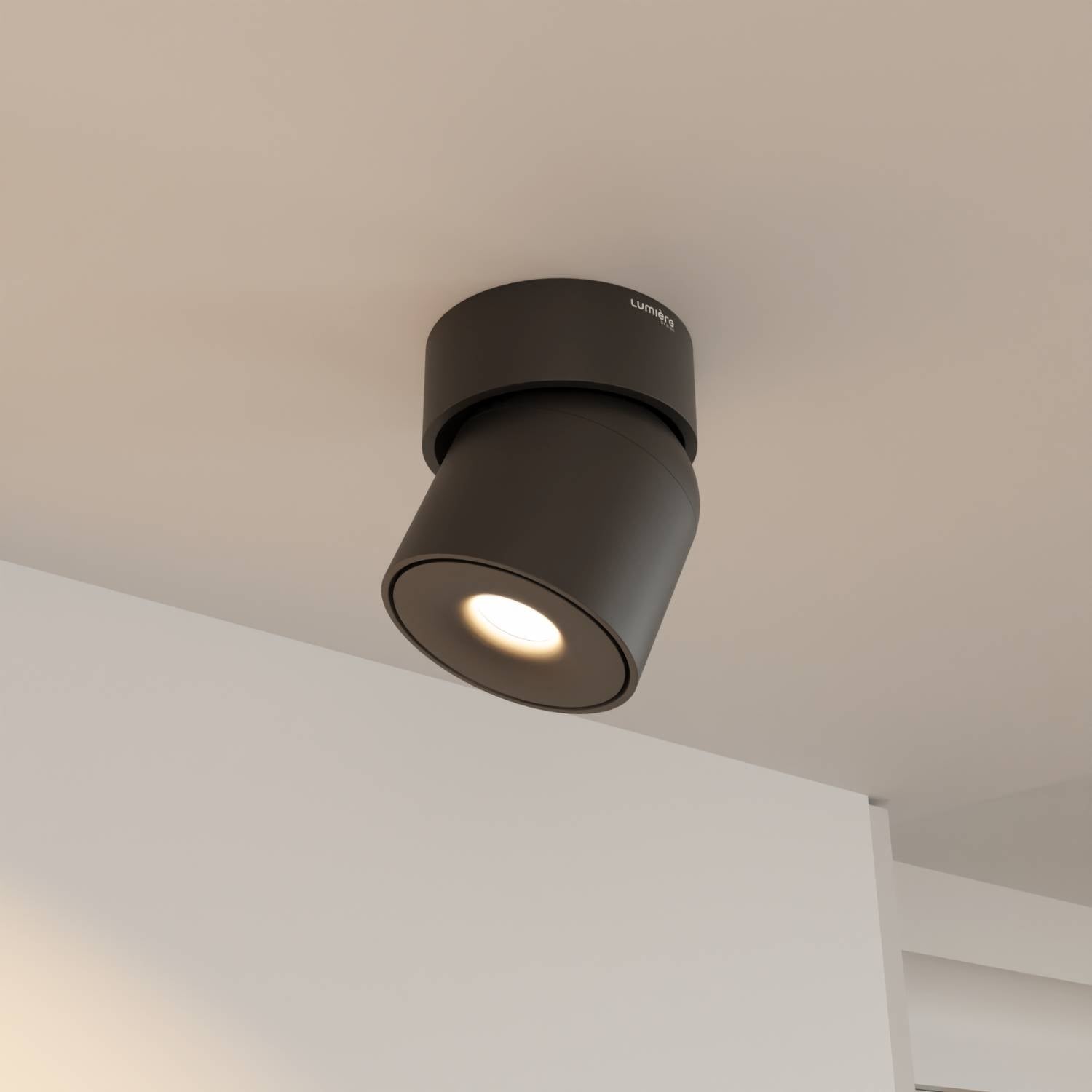 Ceiling Lamp With Flexible Head Rotation And 2700K Warm Glow