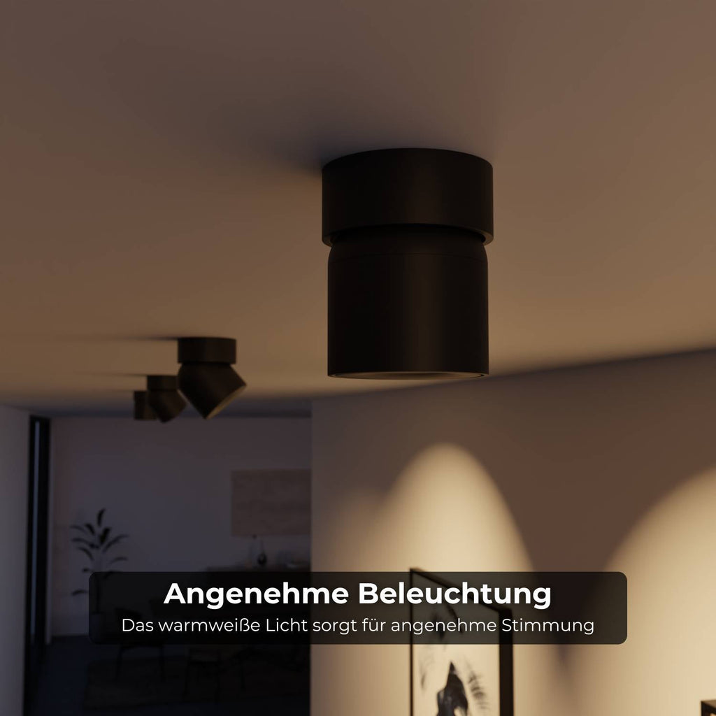 Ceiling Lamp With Flexible Head Rotation And 2700K Warm Glow