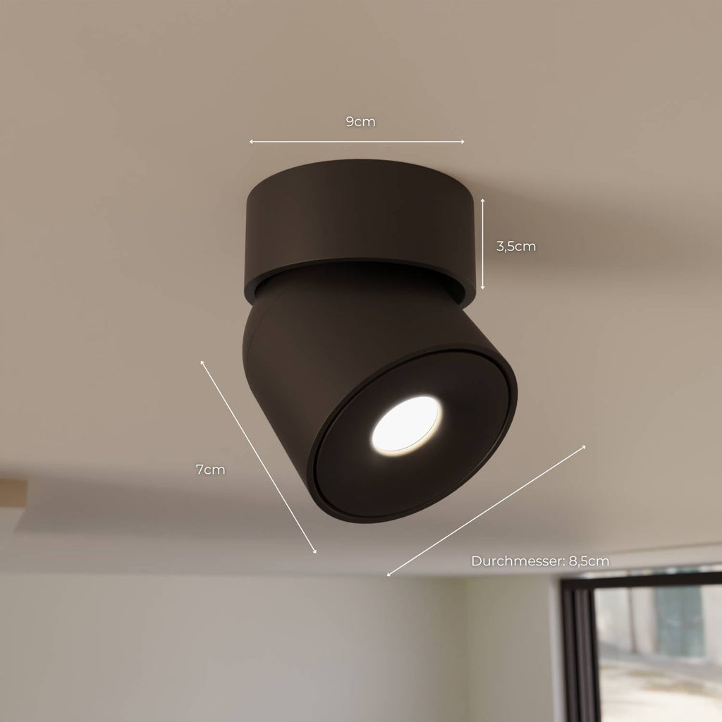 Ceiling Lamp With Flexible Head Rotation And 2700K Warm Glow